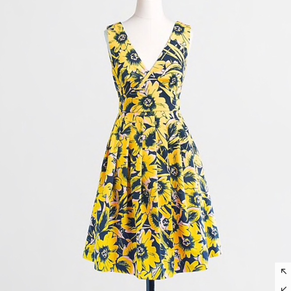 NWT J.Crew Dress